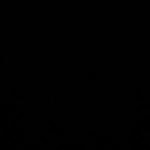 Meet your Posher, Nehemias